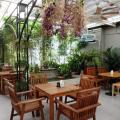 Tree Tales Cafe Preview